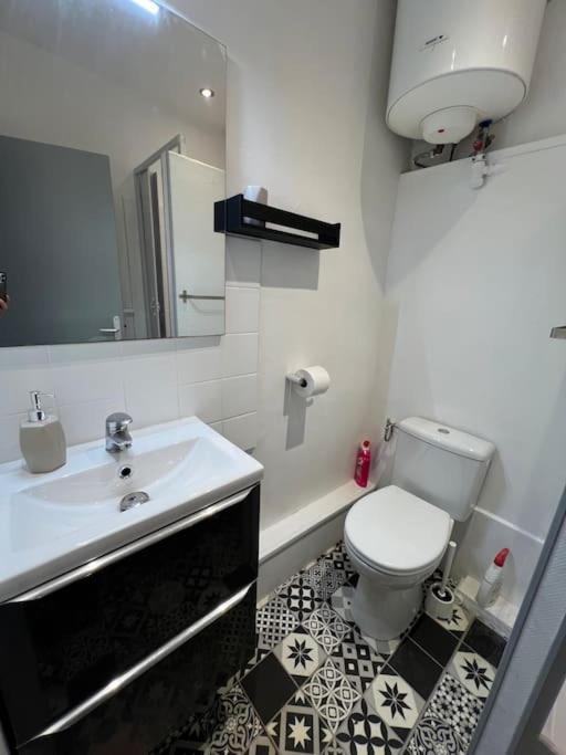 Logement Entier Hyper Centre Toulouse Dış mekan fotoğraf